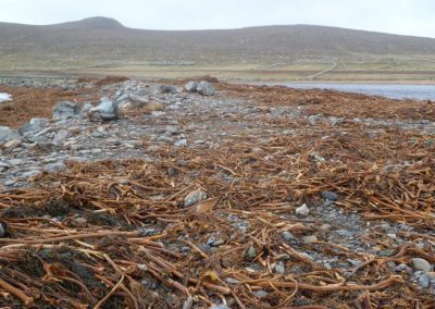 Shore road at Haroldswick in the north end of Unst.