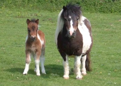 'Butter wouldn't melt!'