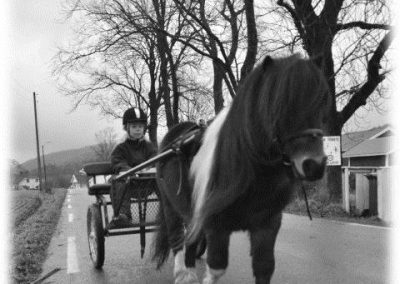 Melina, aged 9, driving Shetland stallion Chagall, Norway.