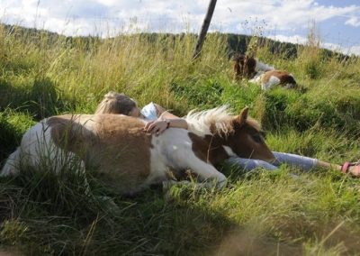 Melina and two Shetland foals blissfully dozing in the meadow.