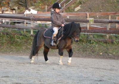 Melina, aged 9, having a riding lesson on Shetland stallion Chagall, Norway.