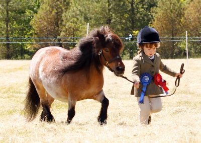 Long Lap of honour for little legs.