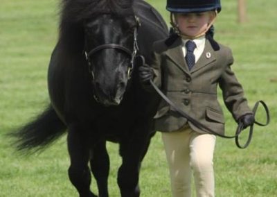 Anna Marshall, 4, with Harviestoun Rhuri, 21, at Fife Show.