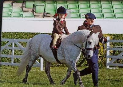 Imogen Davies riding Cranford Air Frost first time at Great Yorkshire Show for them both and they loved it.