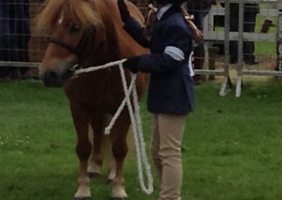 Kayleigh giving Mitch a well deserved pat at Turriff Show 2016