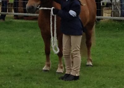 Secrets between pony and handler at Turriff Show