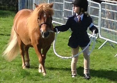 Before being placed 1st at Tarland Show 2016