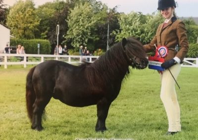 You don’t get a diamond the size of a brick. Felicity's Flowering Felisha - Miniature Champion at the Great Yorkshire Show