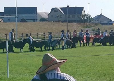 2nd in a class of 37, Breed Show 2019 in Shetland