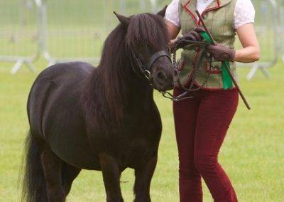 Lisa Weaver’s Klingrahoull Dal-Berg coming 4th at the NPS Show