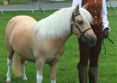 Lisa Weaver’s Nicotiana Snow Sox at Equifest