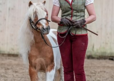 Lisa Weaver’s Seva Nemo’s Captain Taking First in the coloured class for 2019